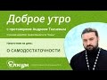 О САМОДОСТАТОЧНОСТИ о.Андрей Ткачев. Хозяин жизни или проходимец, возможно ли быть самостоятельным?