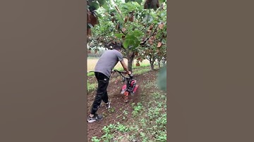 Mini Tiller Machine in Action | Powerful Farming Tool for Easy Soil Preparation part 854