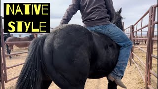 INDIAN COWBOY | TRIMMING FOALS | DIBS & MILLIE