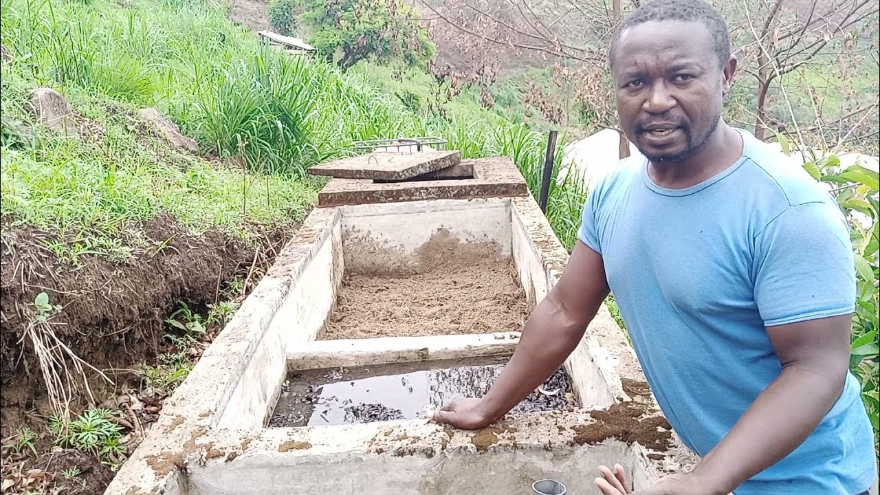 How To Naturally Filter River Water For Drinking And Animal Husbandry