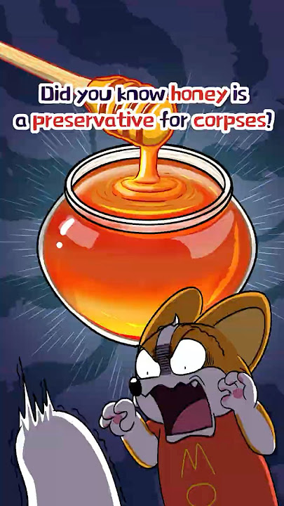 🍯Honey Isn’t Just Sweet — It’s a Preservative❗️ #shorts #trivia #comedy