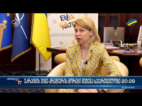 უკრაინის ვიცე პრემიერის მორიგი შეტევა საქართველოზე