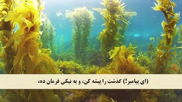 جز 9 ( سوره اعراف از آیه 196 تا 206 ) با ترجمه فارسی صوتی و تصویری