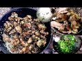 JUngle Hut Dinner || Mutton - Pork - Vegetable cooking & Eating || A team in a Hut ||