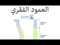 تمارين لعلاج الانزلاق الغضروفي الفقرة 4 5 6 وسحب العصب الوركي الجلسة الاولى