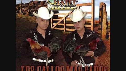 Los Cuates De Sinaloa-El Tres Uno