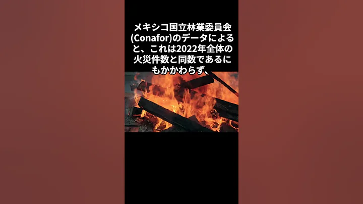 ケレタロ、昨年の火災件数に並ぶ #shorts