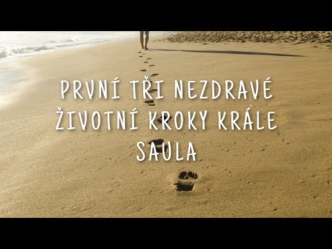 Video: Ako 12 Dní Vianoc Naozaj Vyzerá Ako Rodič