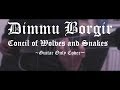Dimmu Borgir - Council of Wolves and Snakes - Guitar Cover