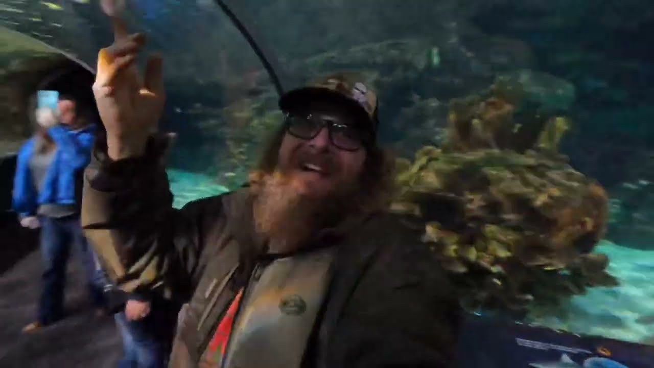 Ripley’s Aquarium Gatlinburg TN Penguins, Shark, Bass, Octopus