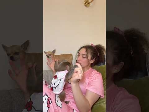 تابعوني   سناب لتشوفو يومياتي مع لحيوانات