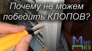 Почему не можем победить клопов