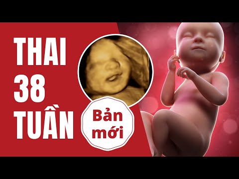 Video Thai 38 Tuần Mổ Được Chưa? Phát Triển Như Thế Nào? - youtube