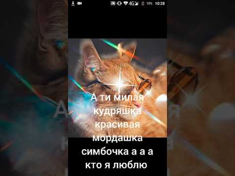 текст песни (Милый Кудряшка )😊😊😊😊😊😊😊😊😊😊😊