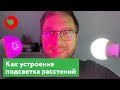 Как устроена подсветка рассады. Личный опыт. Начало сравнения фитолампы с обычной