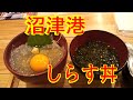 【静岡県沼津市】沼津港の生しらす丼を食べます【しらす漁船】