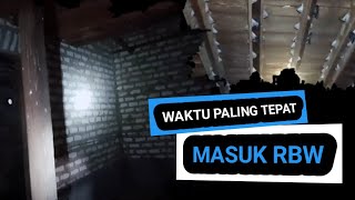 Waktu Paling Tepat Masuk Rbw || Jika Tidak Paham Walet akan Stress