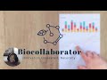 Data Analysis for Health Professionals Lab Ops DCF Project Part 2: Power BI