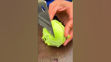 Cách Người Trung Quốc thu hoạch củ cải su siêu to