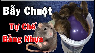 Làm bẫy chuột thông minh, cách làm bẫy chuột đồng chuột nhà bằng chai nhựa hiệu qủa đơn giản