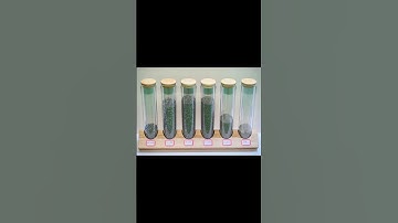 #Circular vibrating screen #High-frequency dewatering screens for ultra-fine materials and tailings