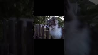 wifiskeleton-your too late i already died