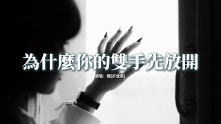 煙(許佳豪) - 為什麼你的雙手先放開『為什麼明明相愛卻分開，讓我深陷其中卻走不出來，回憶化作塵埃 只留下傷害，給你的愛你到底還愛不愛。』【動態歌詞MV】