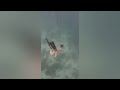 Free Diving #viral 