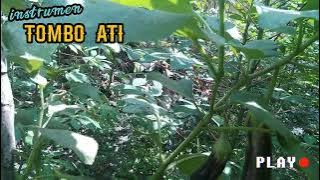 Instrumen Tombo Ati versi campursari || enak di dengar saat santai