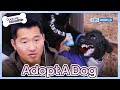 Why are you doing this to me? [Dogs are incredible : EP.208-2] | KBS WORLD TV 240227