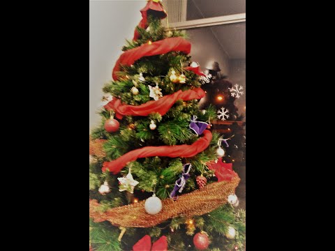 Buon Natale amico