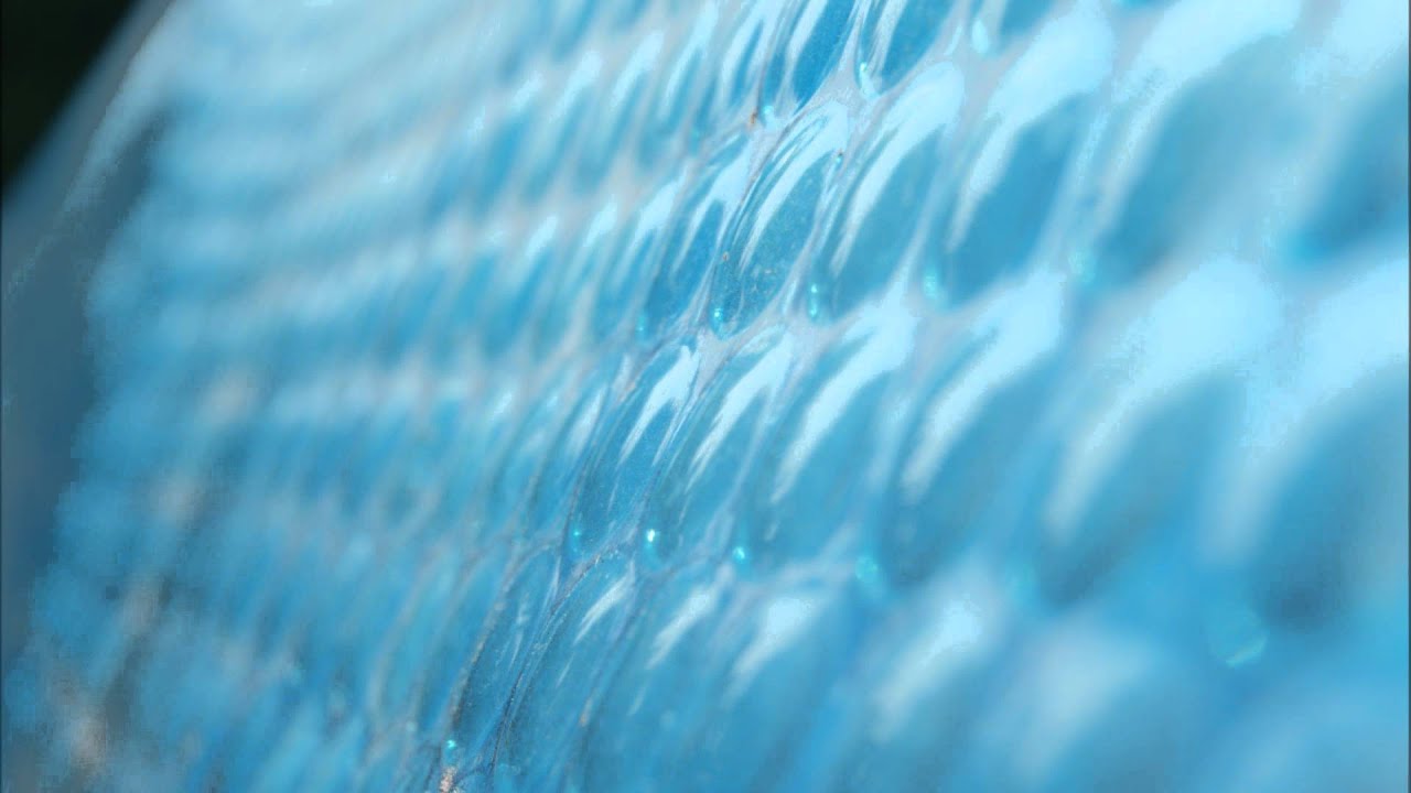 DLS Beats - Involved In Everything (Instrumental/Beat)