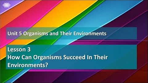 Unit 5 Lesson 3 Explorations 1 and 2