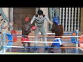 ORANGUTAN Monkey Show at Phnom Penh Safari zoo in Cambodia(Phnom Penh)