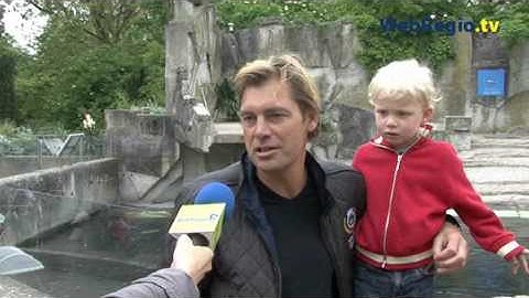 Artis verwelkomt pasgeboren zeeleeuw