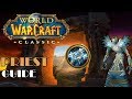 Classic WoW: Should you Priest? (Talents, Macros, PVP, Tips & Tricks)