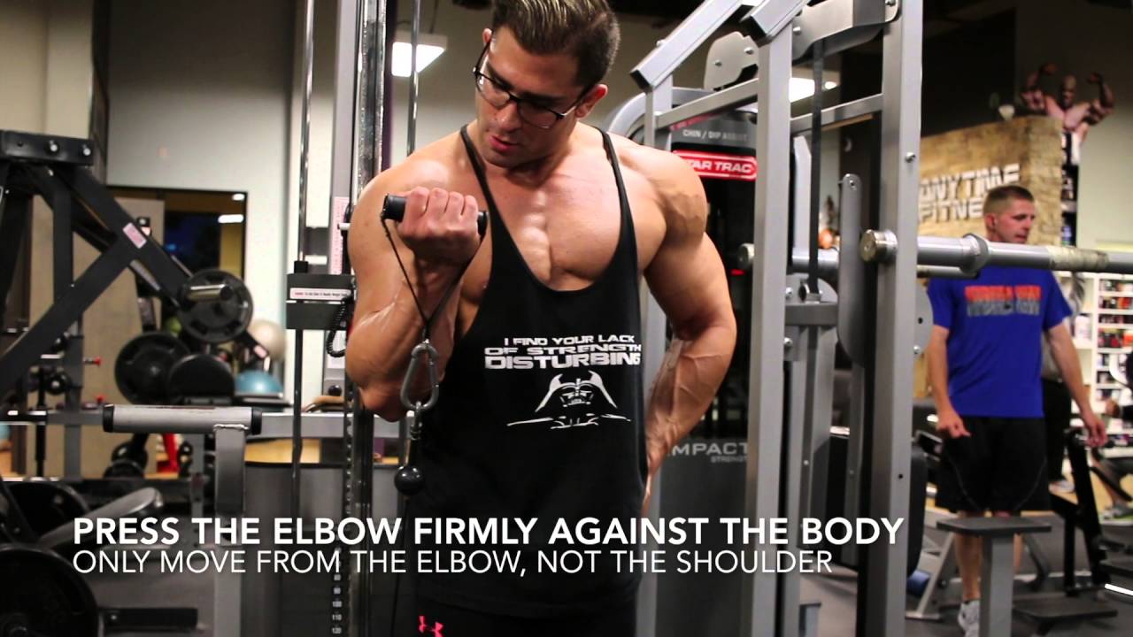 Imperial Physiques Antonio Cicociola Trains Arms The Bro Workout