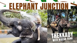 The Best Experience Of Kerala | Elephant Junction Thekkady |Elephant shower And Ride With family...!