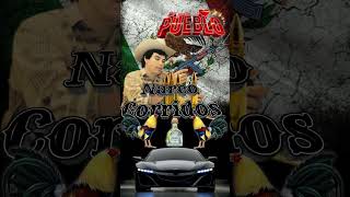 narco corridos mix lo más perron