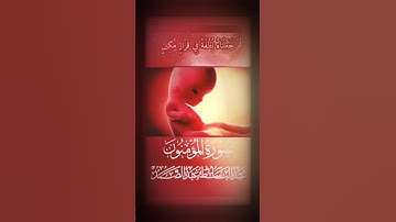 وَلَقَدْ خَلَقْنَا الْإِنسَانَ مِن سُلَالَةٍ مِّن طِينٍ #سورة_المؤمنون #الشيخ_عبدالباسط_عبدالصمد