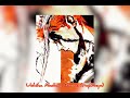 SadMellowHalfGhoul - Uchiha Madara (Prod. trapflaya)