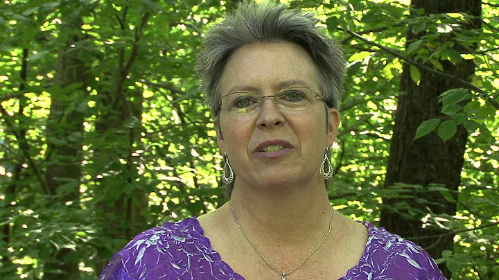 Debora Barr's Testimony July 2013