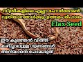 Benefits of flaxseeds ||  Health Benefits || ചണവിത്തിന്റെ ഔഷധ ഗുണങ്ങൾ