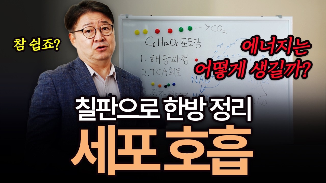 움직일 힘은 어디서 올까? 포도당이 에너지가 되는 과정