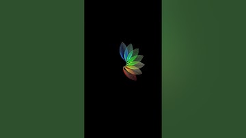 Amazing Flower Design using Python turtle 🐢 #python #coding #funny #viral #trending #design