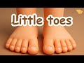 🎵 Little toes | Toes Songs For Toddlers & Kids | Children Song with Lyrics 🎵