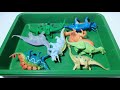 Satisfying Dinosaur Toys Collection | Stegosaurus | Spinosaurus | Brachiosaurus | Triceratops