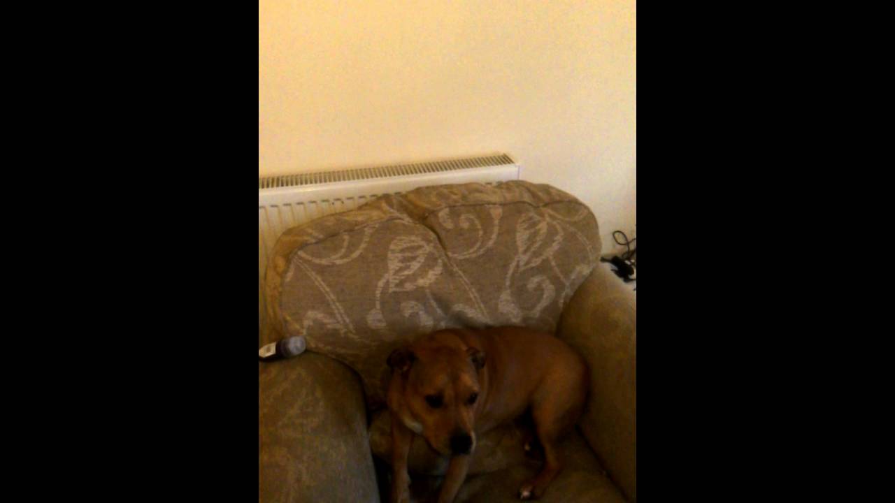 Michael Wilson Interviews Dr Simon on schools and education