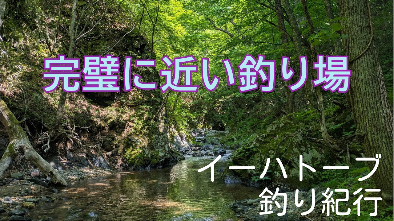 完璧に近い川【フライフィッシング】美渓に還る【イーハトーブ】