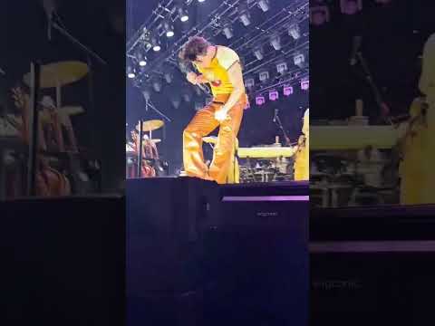 POV: Harry Styles RIPPED his pants on stage